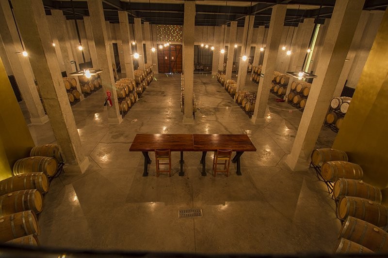 Año tras año, el renacimiento de los vinos
